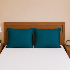 275903 teal (1).jpg